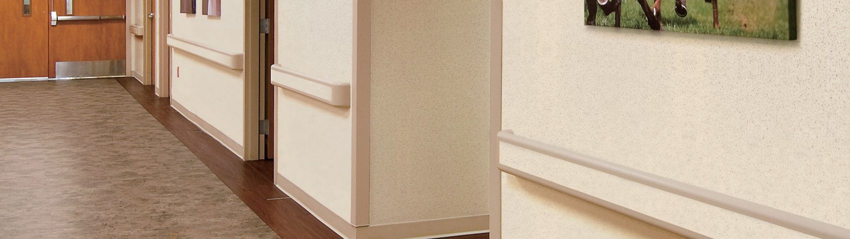 15373485606943460107.jpg carousel-single-xlarge.1700.478.jpg