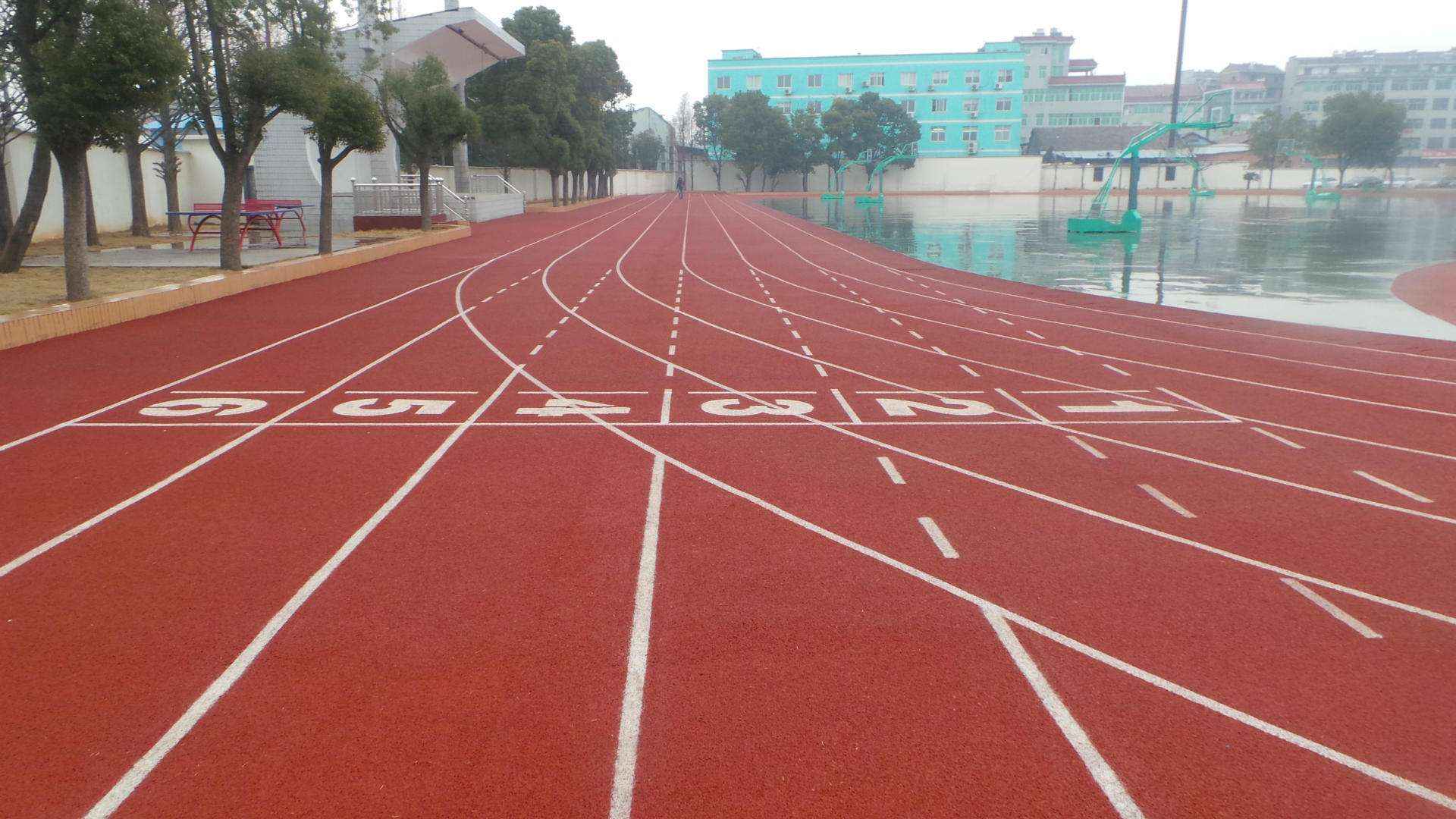 15437997096849780656.jpg 13.jpg