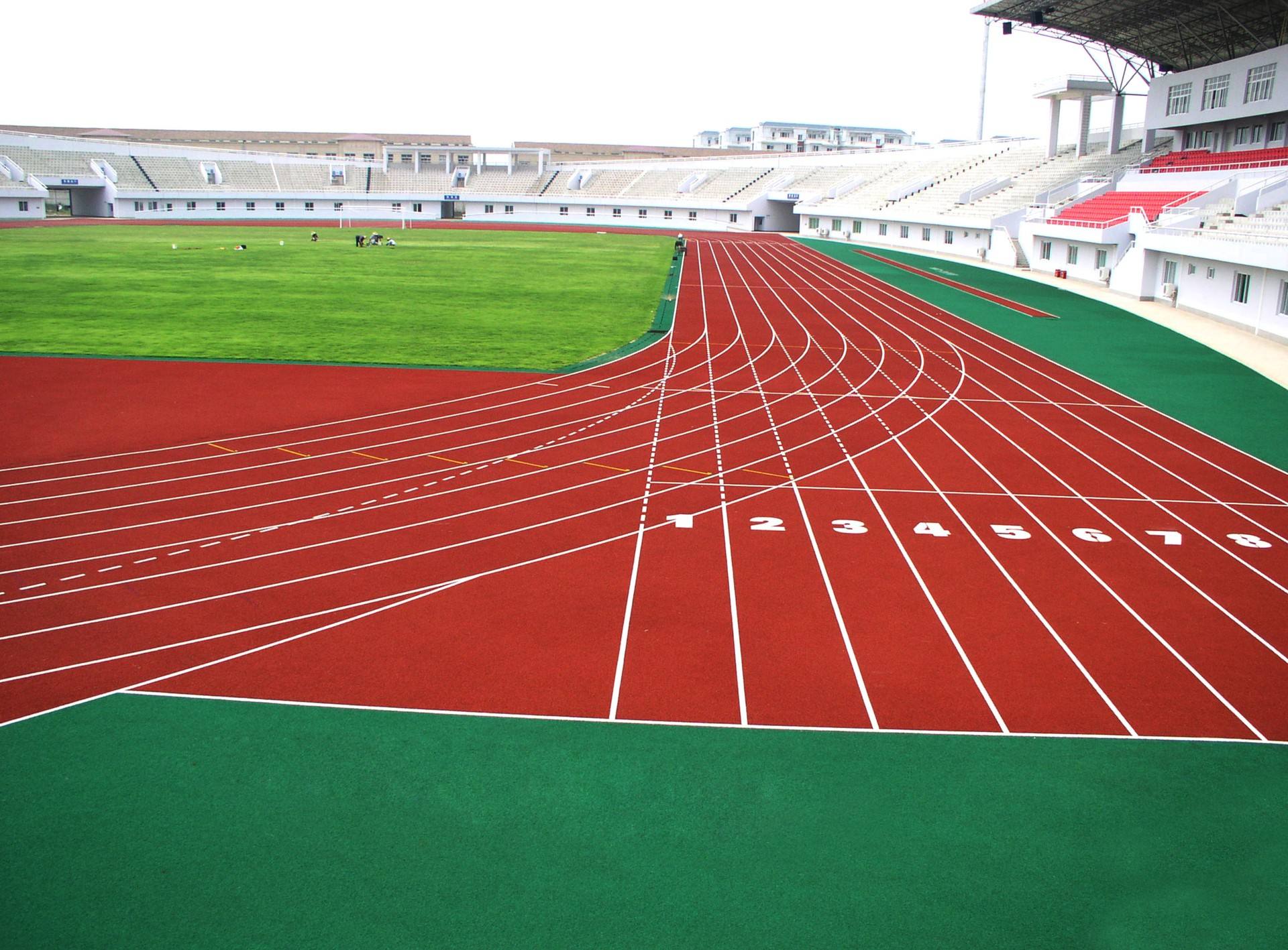 15527905882390205004.jpg IMG_2842.JPG